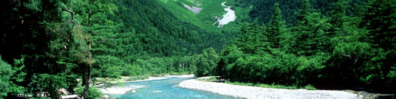 �C���i ���[���P�[�L���T�C�g